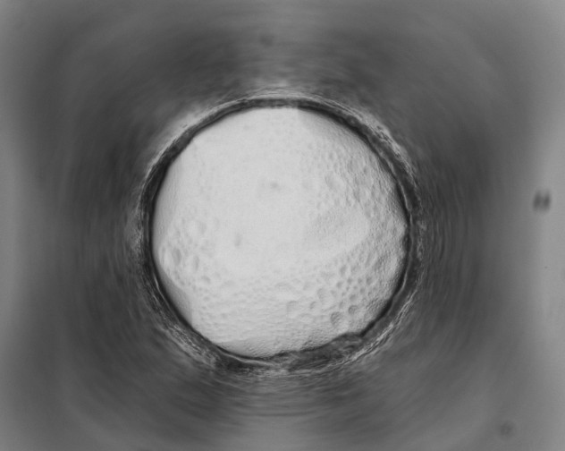 X0000097991167200804211056