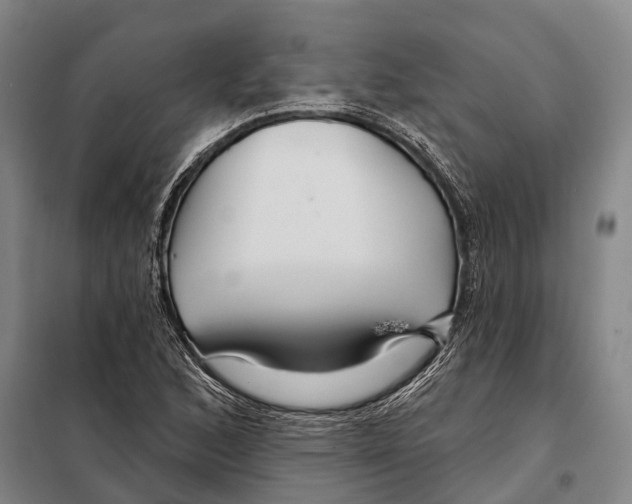 X0000097991168200804211056