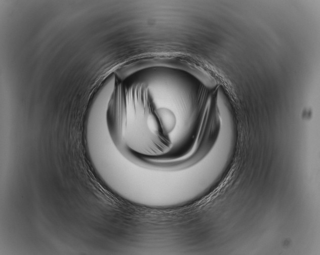 X0000097991169200804211056