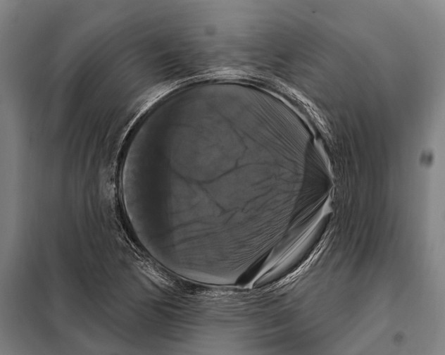 X0000097991170200804211056