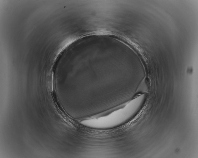 X0000097991171200804211056