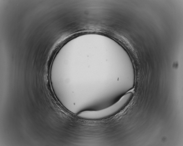 X0000097991172200804211056