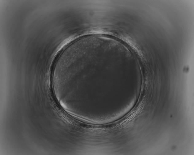 X0000097991173200804211056