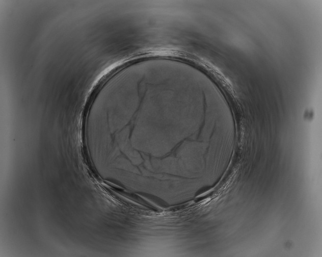 X0000097991174200804211056