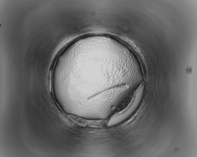 X0000097991175200804211056