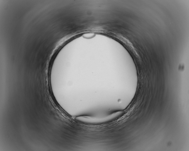 X0000097991176200804211056