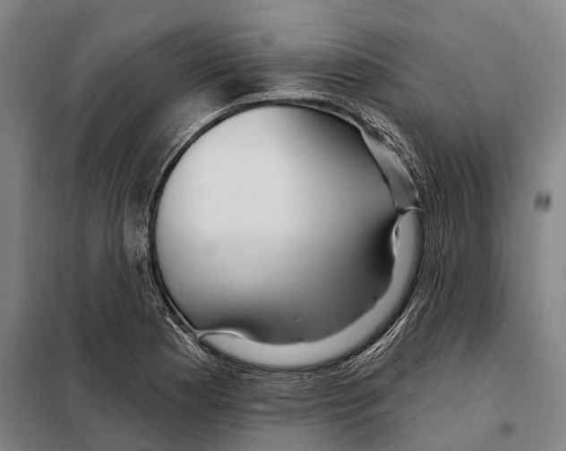 X0000097991177200804211056