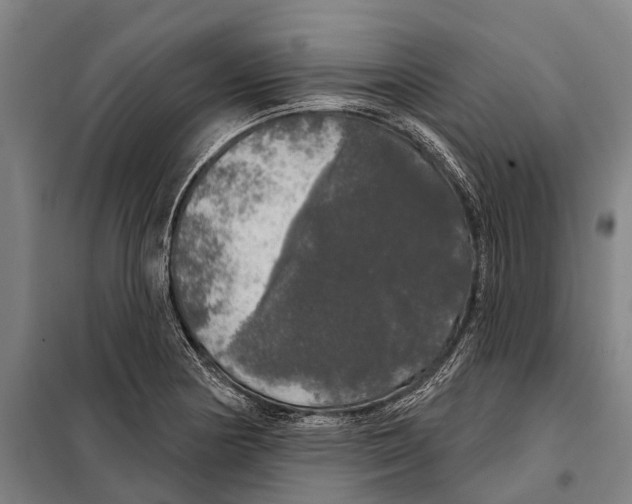 X0000097991178200804211056