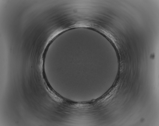 X0000097991179200804211056