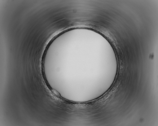 X0000097991181200804211056