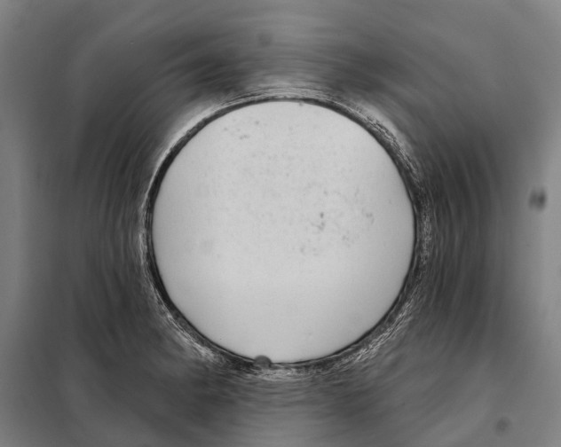 X0000097991182200804211056