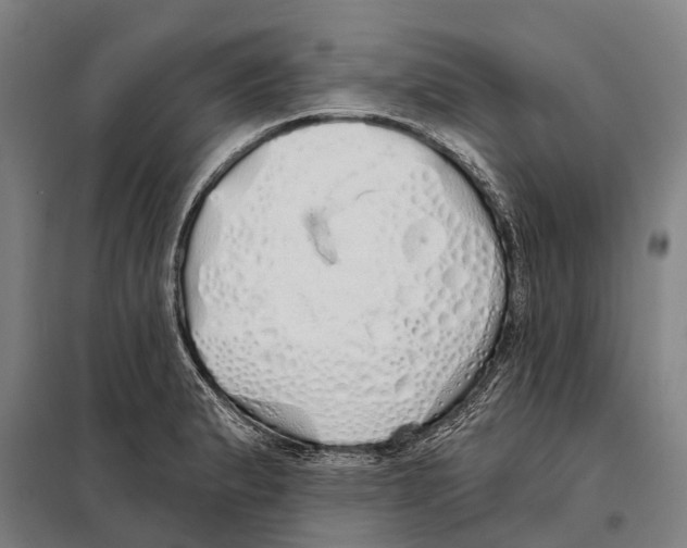 X0000097991183200804211056