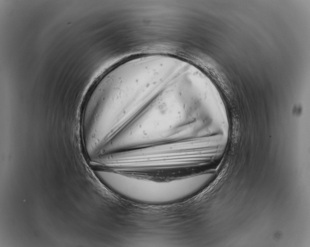 X0000097991184200804211056