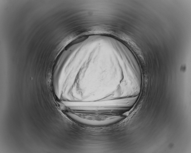 X0000097991185200804211056