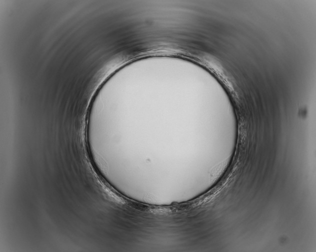 X0000097991186200804211056