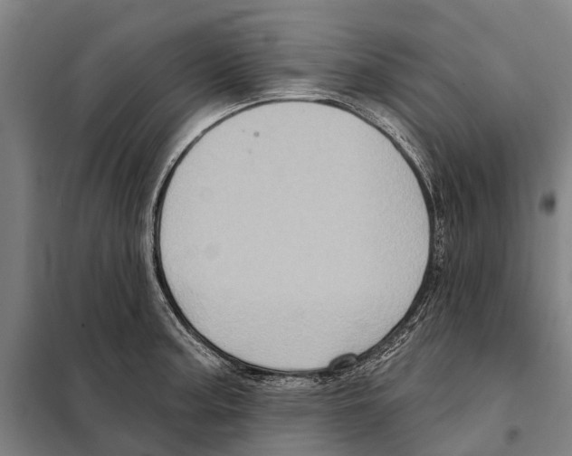 X0000097991187200804211056