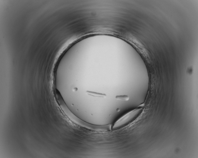 X0000097991188200804211056