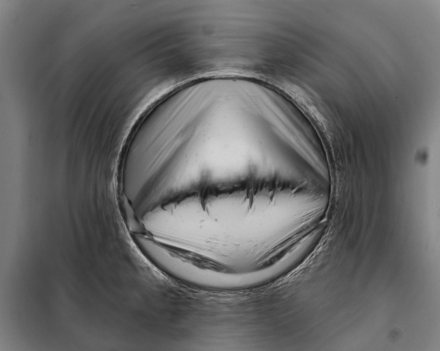 X0000097991189200804211056