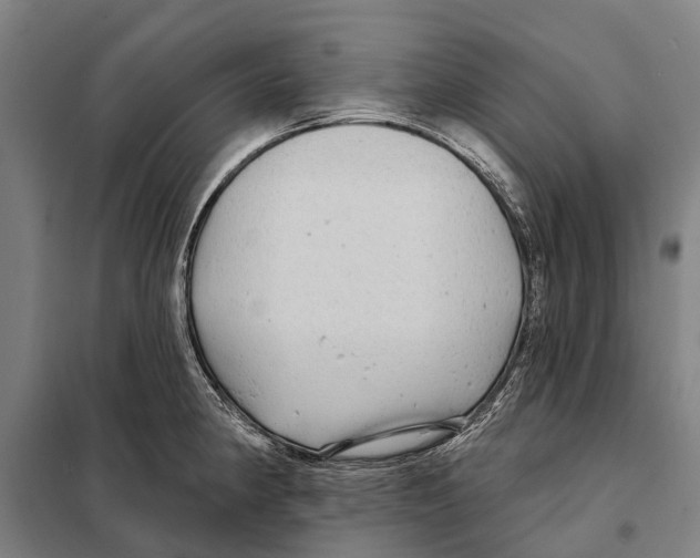 X0000097991190200804211056