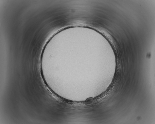 X0000097991191200804211056