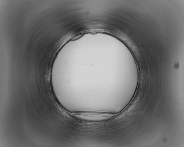 X0000097991193200804211056