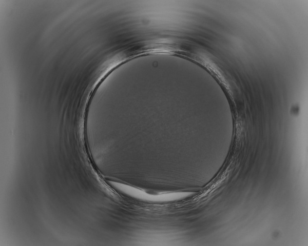 X0000097991194200804211056