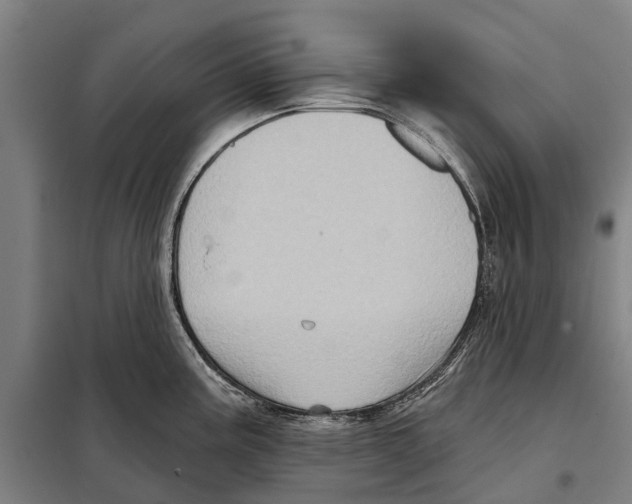 X0000097991195200804211055