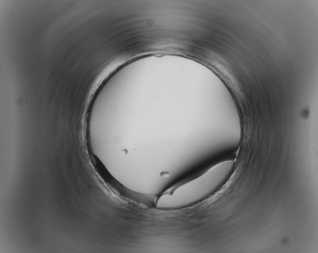 X0000097991196200804211055