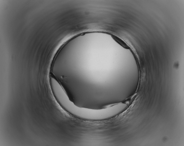 X0000097991197200804211055