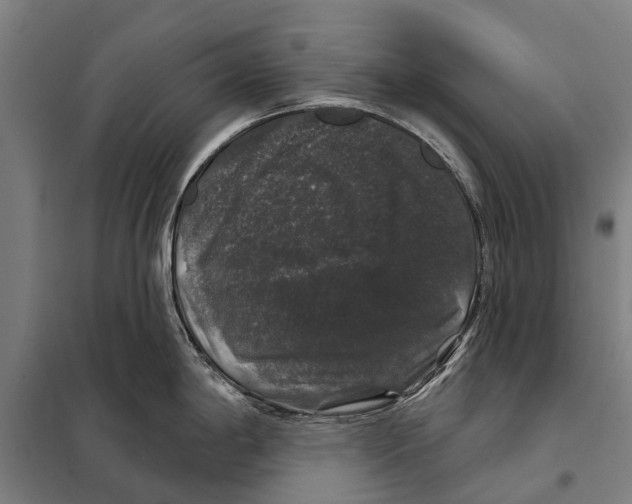 X0000097991198200804211055