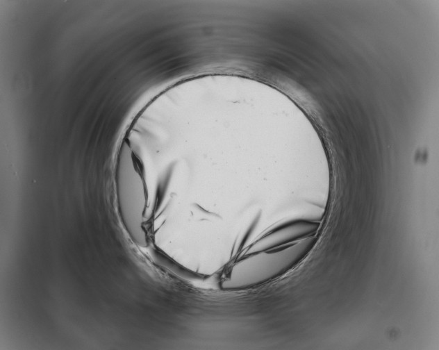 X0000097991200200804211055