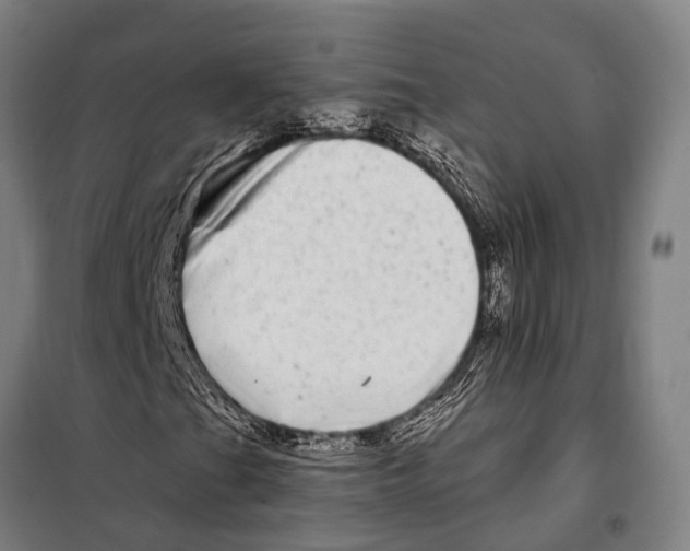 X0000097991201200804211055