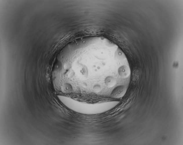 X0000097991202200804211055