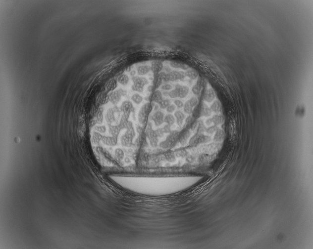 X0000097991204200804211055