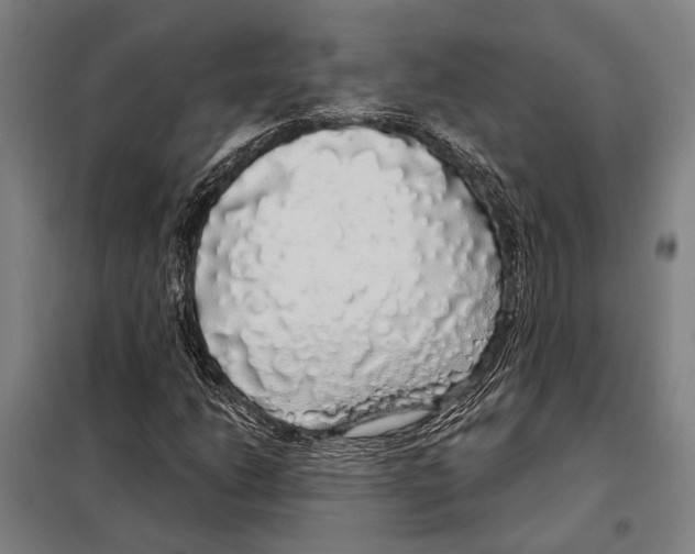 X0000097991206200804211055