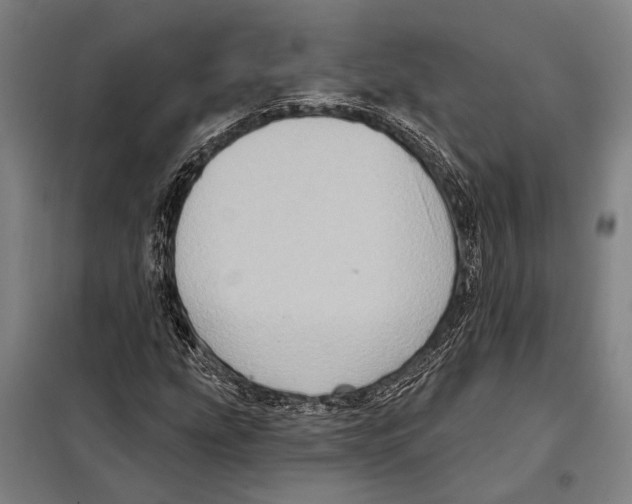 X0000097991207200804211055