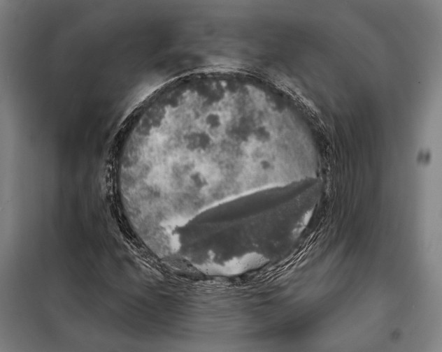 X0000097991208200804211055