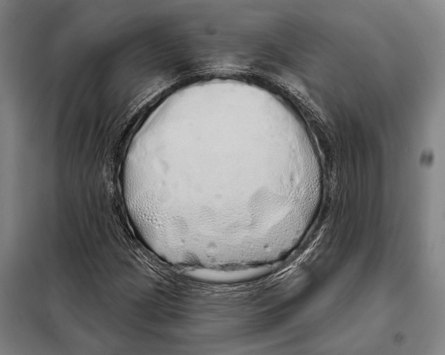 X0000097991209200804211055