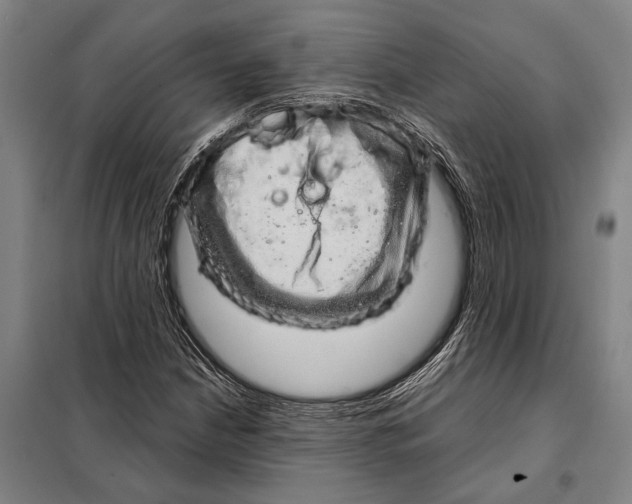 X0000097991210200804211055