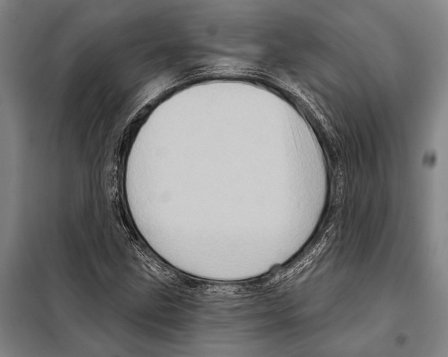 X0000097991211200804211055