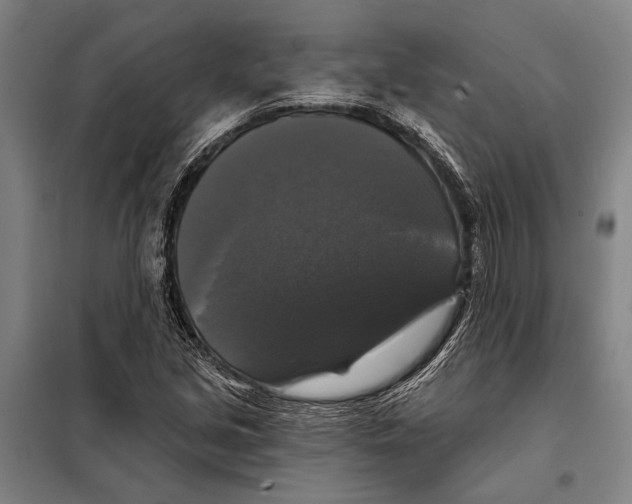 X0000097991213200804211055