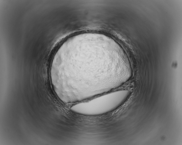 X0000097991214200804211055