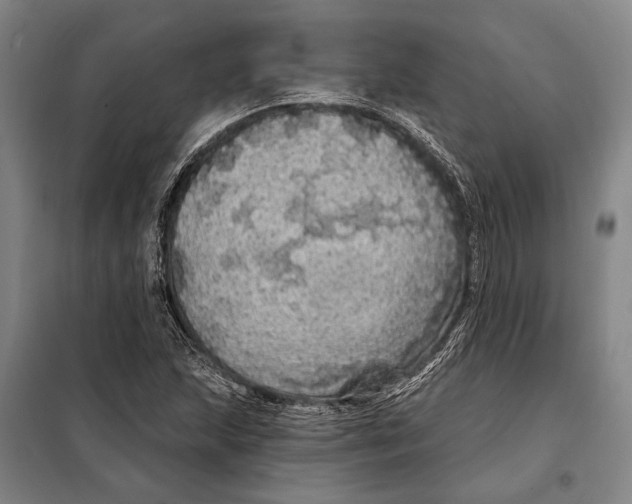 X0000097991215200804211055