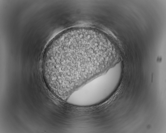 X0000097991216200804211055