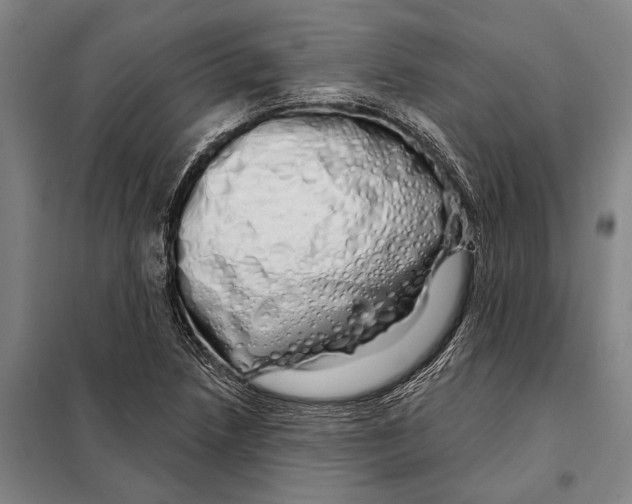 X0000097991218200804211055