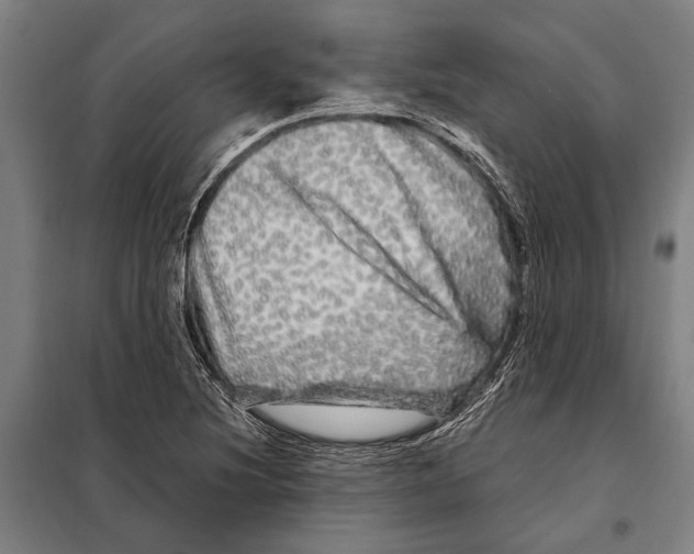 X0000097991220200804211055