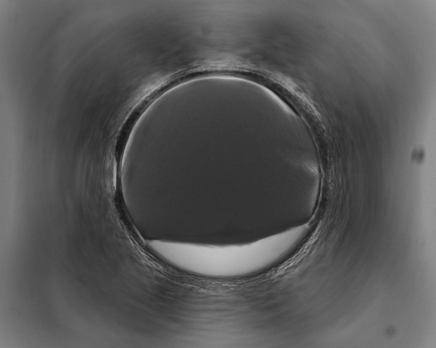 X0000097991221200804211055