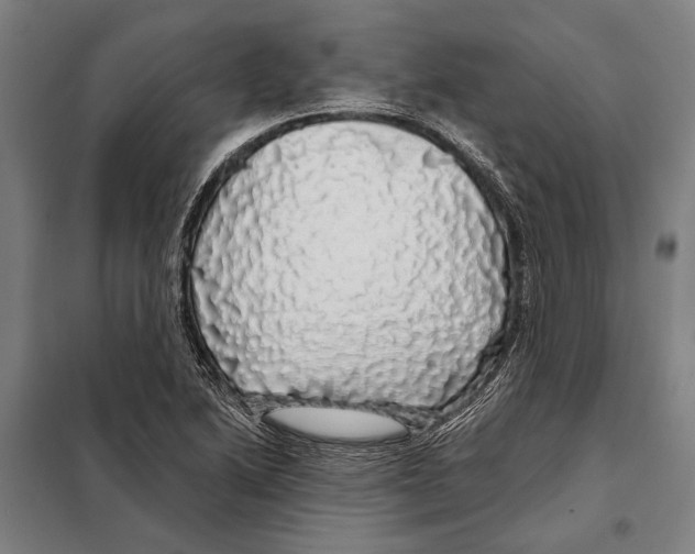 X0000097991222200804211055