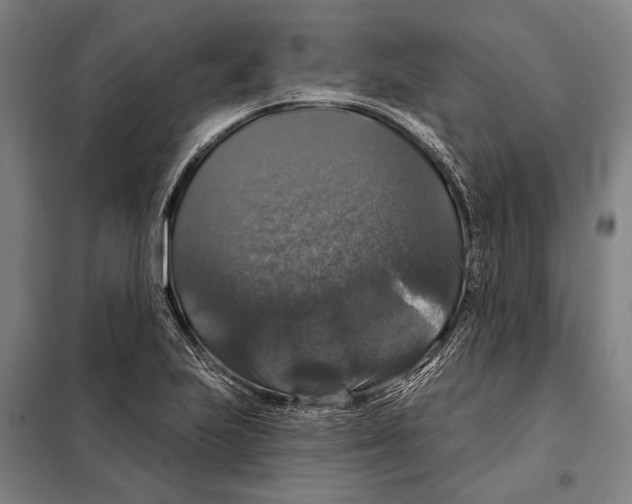 X0000097991223200804211055