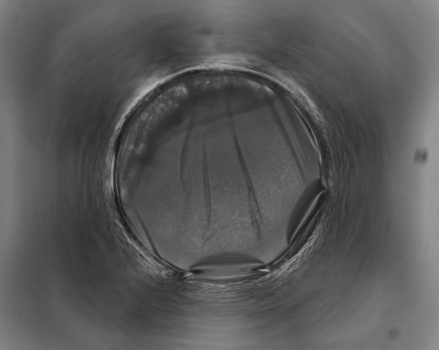 X0000097991224200804211055